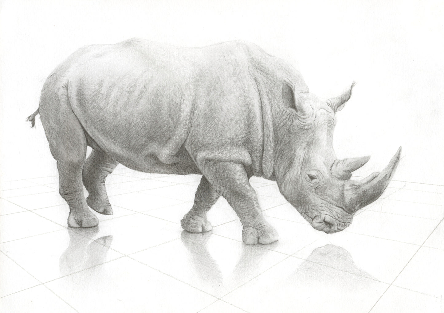 Rhino