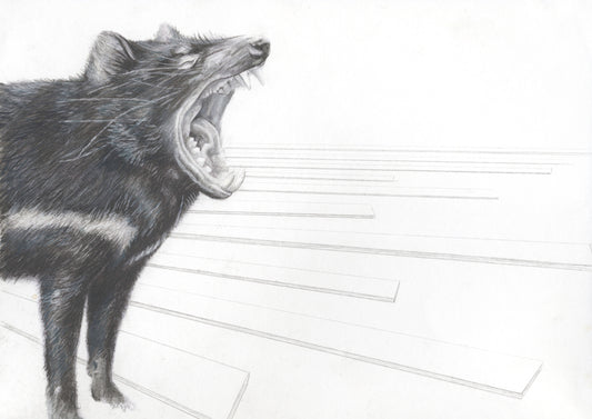 Tasmanian Devil