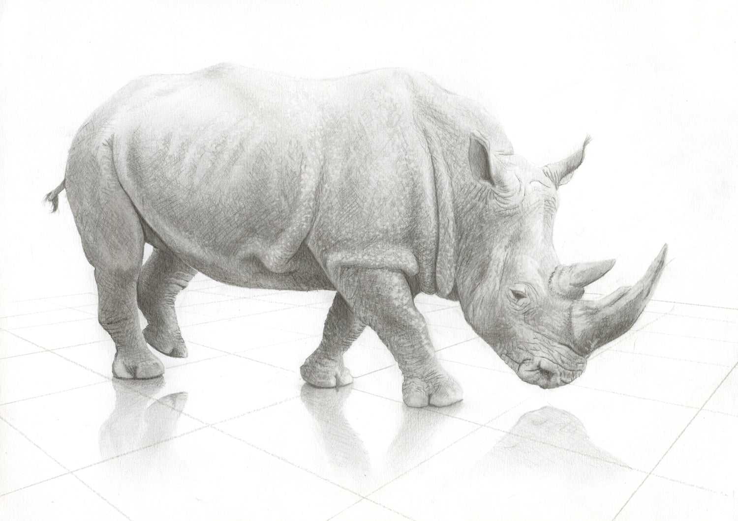 Rhino
