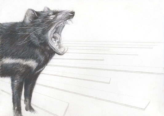 Tasmanian Devil