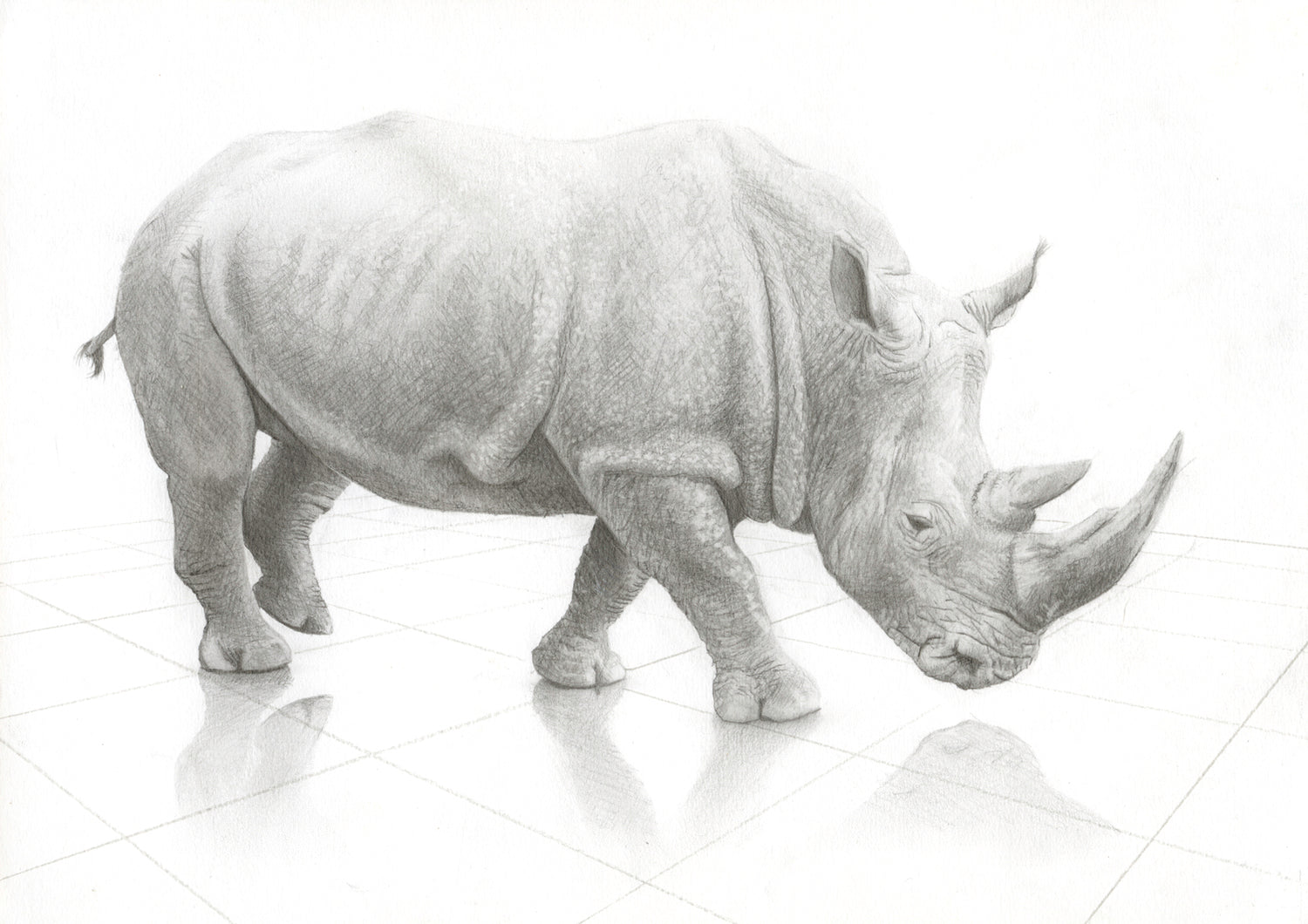 Rhino