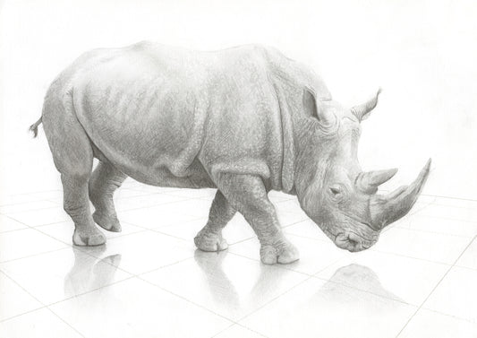 Rhino